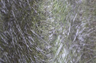 Addingham fibreglass roof work